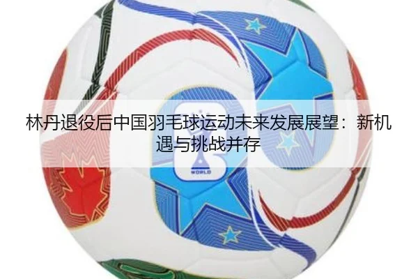 lin-dan-tui-yi-hou-zhong-guo-yu-mao-qiu-yun-dong-wei-lai-fa-zhan-zhan-wang-xin-ji-yu-yu-tiao-zhan-bing-cun-2-731.jpg