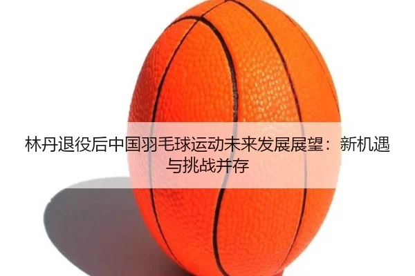 林丹退役后中国羽毛球运动未来发展展望：新机遇与挑战并存