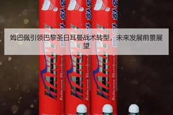 mu-ba-pei-yin-ling-ba-li-sheng-ri-er-man-zhan-shu-zhuan-xing-wei-lai-fa-zhan-qian-jing-zhan-wang-2-192.jpg