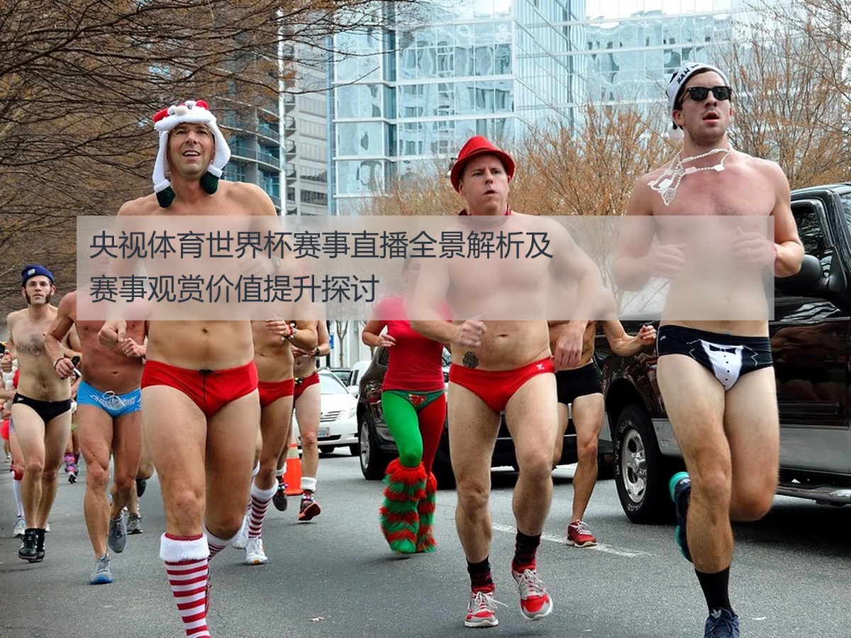 央视体育世界杯赛事直播全景解析及赛事观赏价值提升探讨